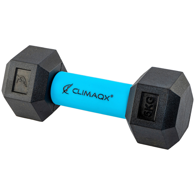 Climaqx Arm Blaster blau an der Hantel