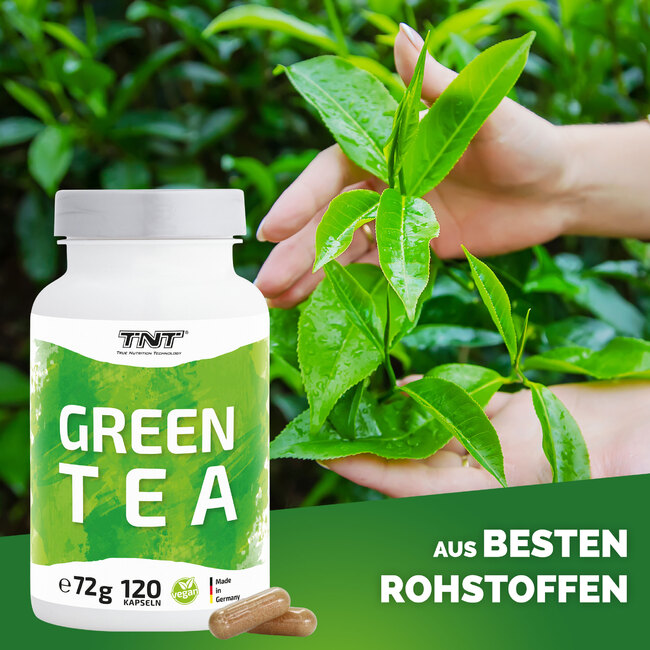 TNT Green Tea A+